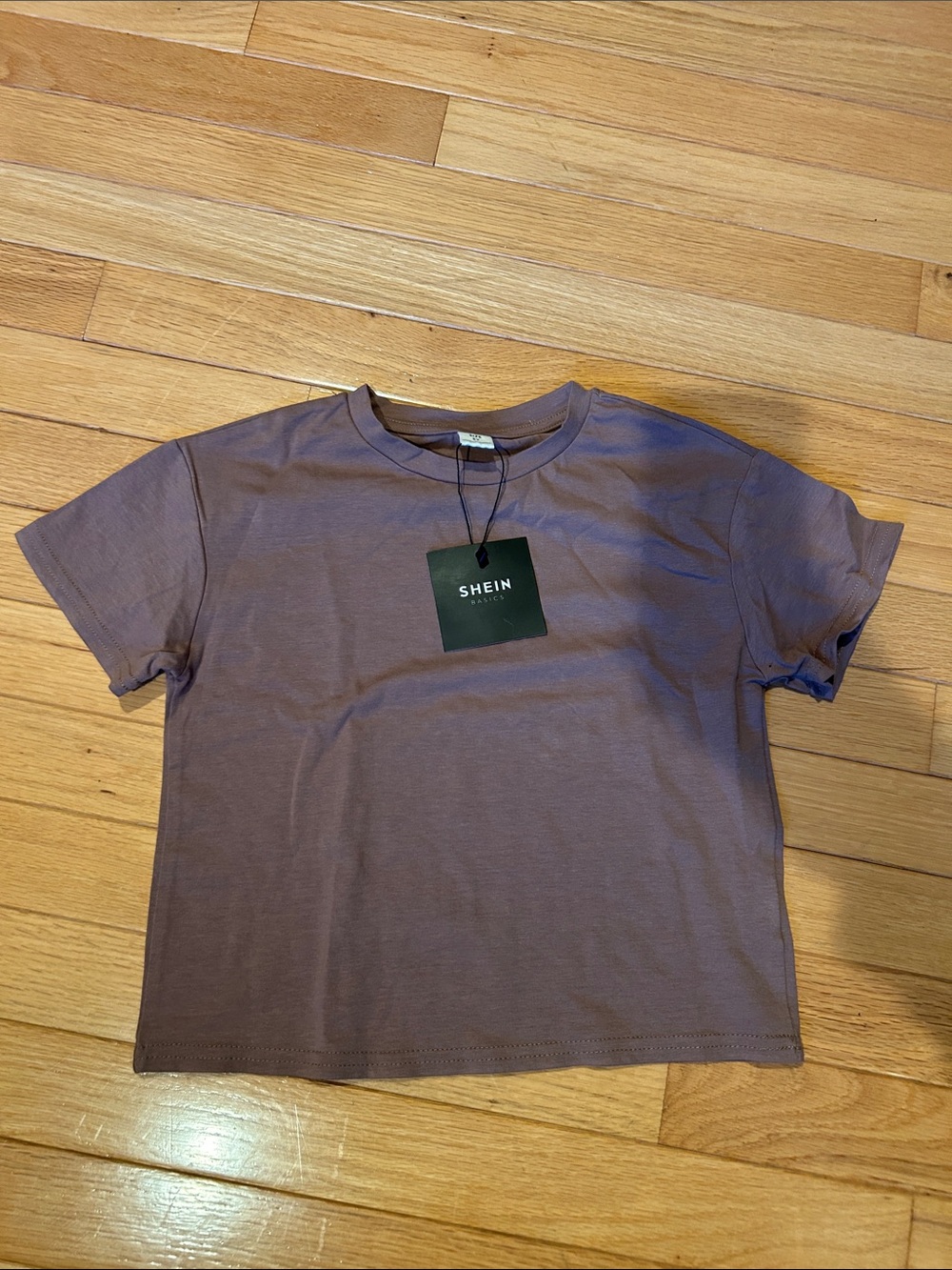 SHEIN Dusty Mauve Cropped Tee